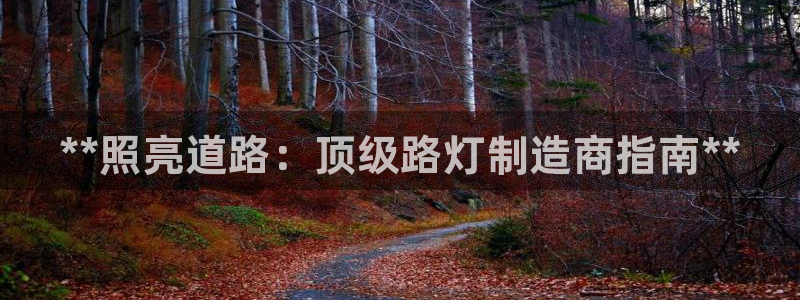 彩神输的钱是赌博还是诈骗：**照亮道路：顶级路灯制造商指南*