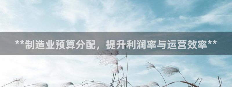 彩神购彩-购彩大厅入口500：**制造业预算分配，提升利润率与运营效率**