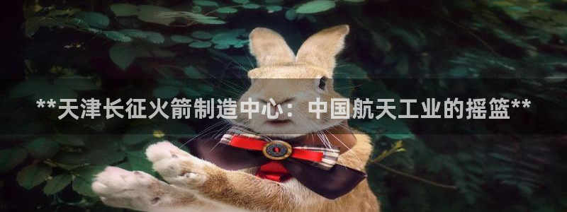 彩神v8官网版：**天津长征火箭制造中心：中国航天工业的摇篮**