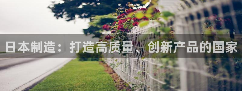 彩神旗下有哪些平台可以玩：日本制造：打造高质量、创新产品的国家