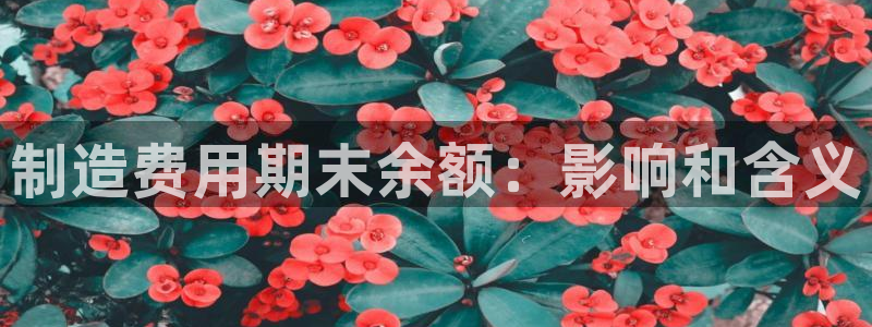 彩神网正规吗：制造费用期末余额：影响和含义