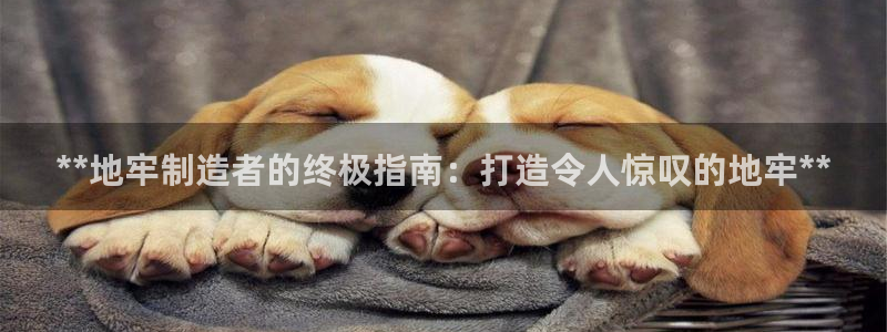 彩神8是正规平台吗安全吗：**地牢制造者的终极指南：打造令人