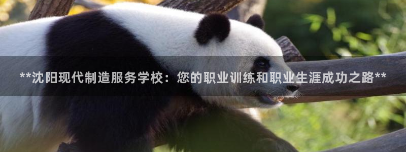 彩神通官网下载