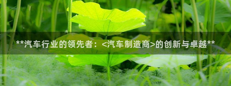 彩神大发三期计划网站：**汽车行业的领先者：<汽车制造商>的创新与卓越**