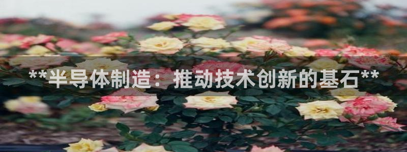 彩神8是正规平台吗知乎：**半导体制造：推动技术创新的基石*
