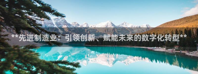 彩神v8手机客户端怎么下载：**先进制造业：引领创新、赋能未