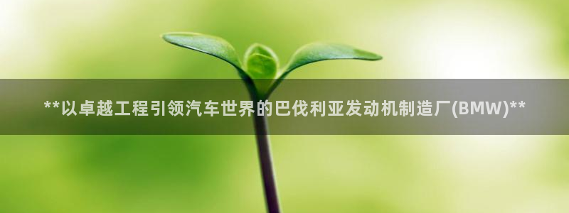 彩神app能挣到钱吗：**以卓越工程引领汽车世界的巴伐利亚发