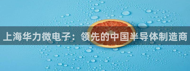 彩神v8是一个什么平台游戏：上海华力微电子：领先的中国半导体