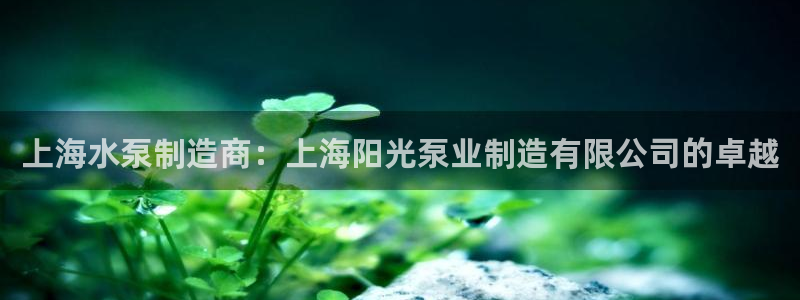 彩神app能挣到钱吗：上海水泵制造商：上海阳光泵业制造有限公司的卓越