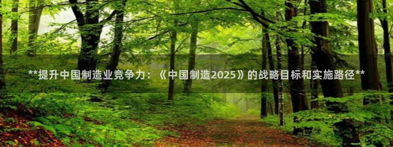 彩神v：**提升中国制造业竞争力：《中国制造2025》的战略