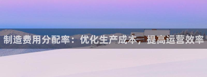 彩神iv能赚钱吗：制造费用分配率：优化生产成本，提高运营效率
