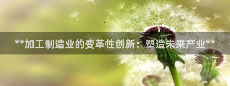 彩神v8平台正规吗：**加工制造业的变革性创新：塑造未来产业**