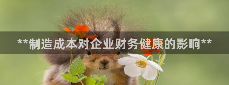 彩神vll购彩大厅：**制造成本对企业财务健康的影响**