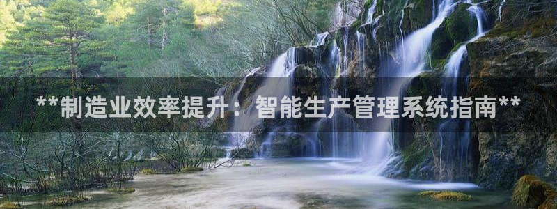 彩神ix能赚钱吗：**制造业效率提升：智能生产管理系统指南**