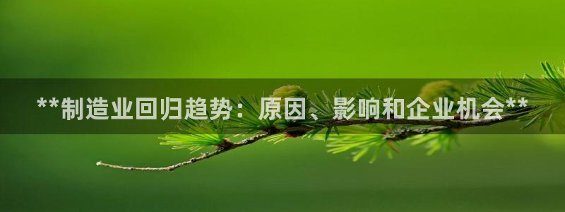 下载彩神乐发V1：**制造业回归趋势：原因、影响和企业机会**