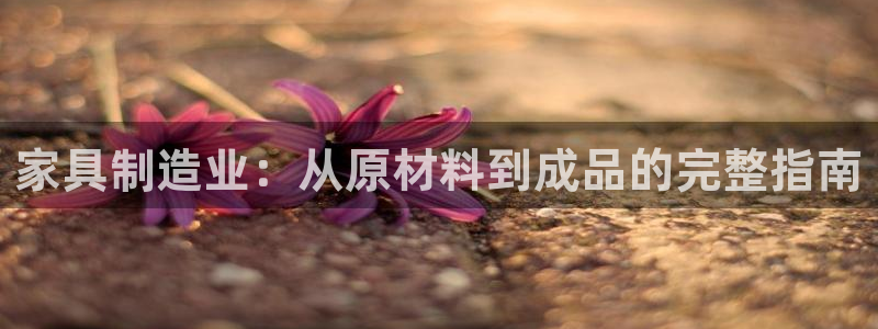 彩神v8首页：家具制造业：从原材料到成品的完整指南