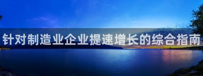 彩神赢的钱是哪里来的啊：针对制造业企业提速增长的综合指南