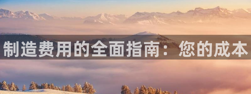 彩神8官网版是正规的吗：制造费用的全面指南：您的成本