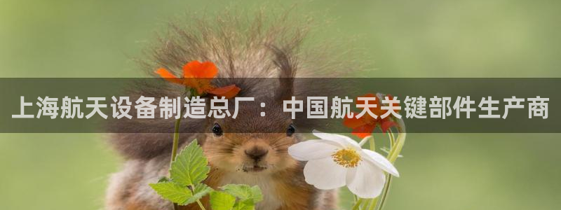 彩神团队是真的吗：上海航天设备制造总厂：中国航天关键部件生产商