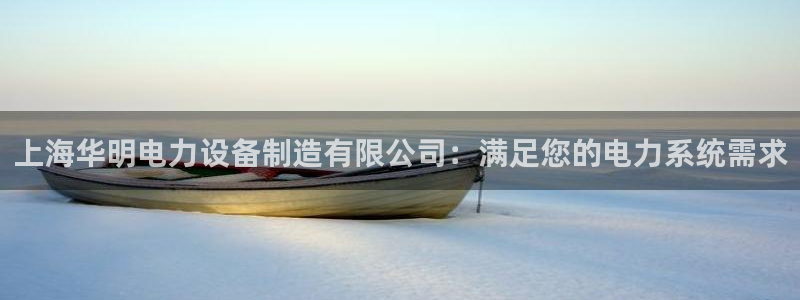 彩神vii购彩l心：上海华明电力设备制造有限公司：满足您的电力系统需求