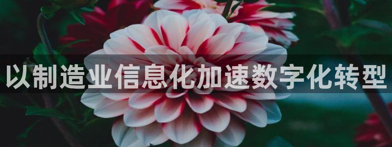 彩神 好 平台