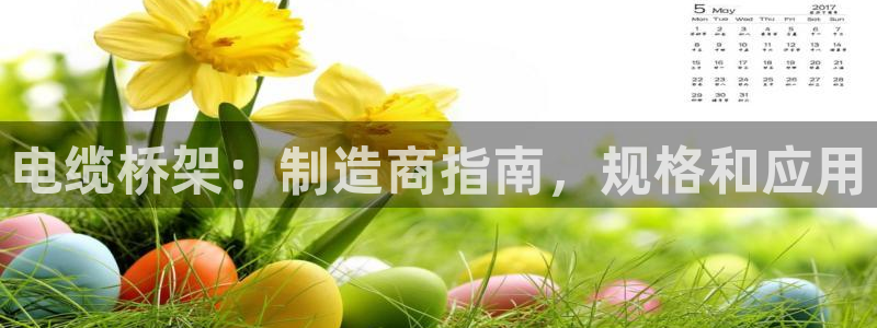 大发彩神最高邀请码：电缆桥架：制造商指南，规格和应用