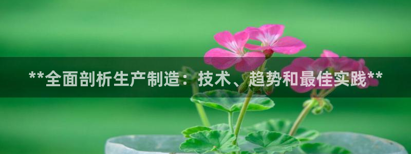 彩神旗下有哪些平台可以玩：**全面剖析生产制造：技术、趋势和最佳实践**