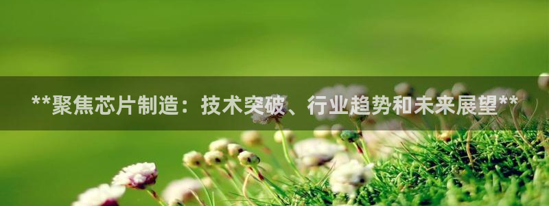 彩神VI首页：**聚焦芯片制造：技术突破、行业趋势和未来展望**