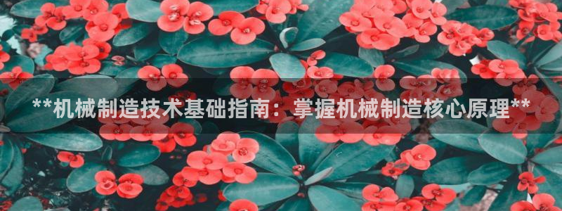 彩神V3大赢家：**机械制造技术基础指南：掌握机械制造核心原