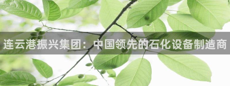 彩神平台：连云港振兴集团：中国领先的石化设备制造商