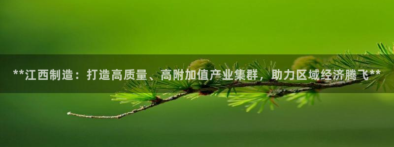彩神购彩-购彩大厅入口娱乐首选：**江西制造：打造高质量、高附加值产业集群，助力区域经济腾飞**