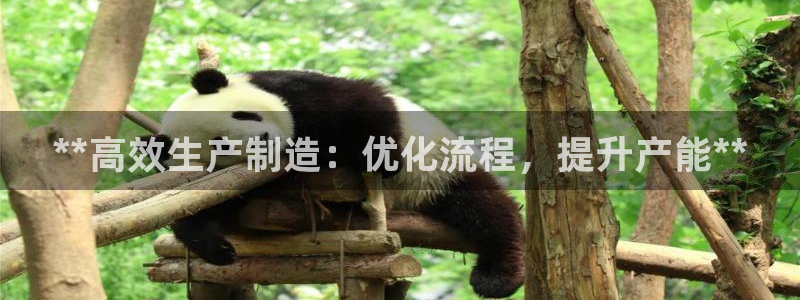 新版彩神v8登录：**高效生产制造：优化流程，提升产能**