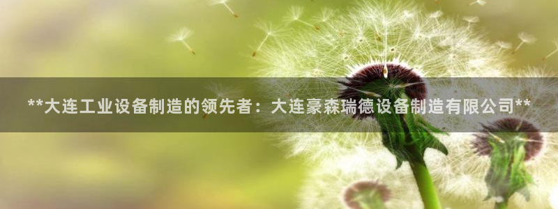 彩神v|：**大连工业设备制造的领先者：大连豪森瑞德设备制造有限公司**