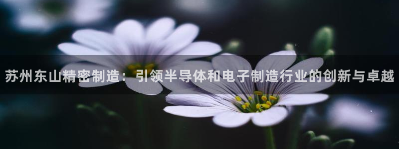 彩神v8手机客户端在哪