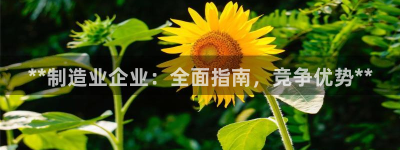 彩神Vll购彩大厅