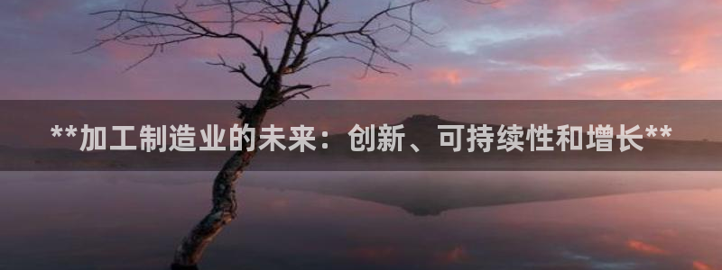 彩神ii官方网：**加工制造业的未来：创新、可持续性和增长**