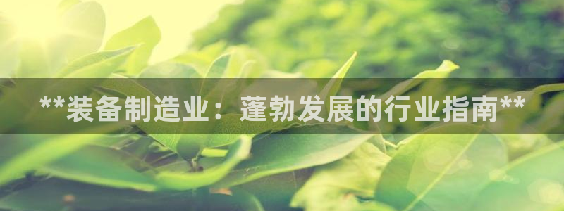 彩神x平台靠什么盈利