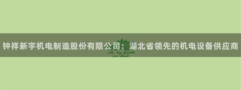 彩神平台是什么套路：钟祥新宇机电制造股份有限公司：湖北省领先