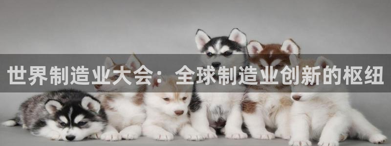 彩神通官网下载：世界制造业大会：全球制造业创新的枢纽