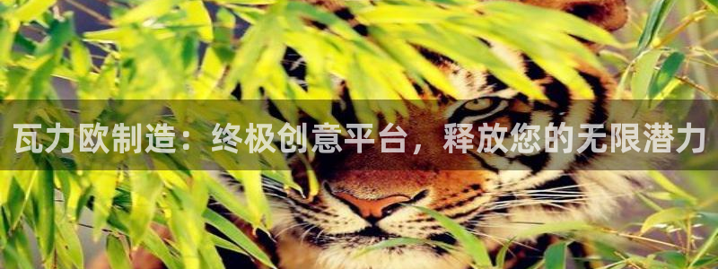 彩神v违法么：瓦力欧制造：终极创意平台，释放您的无限潜力