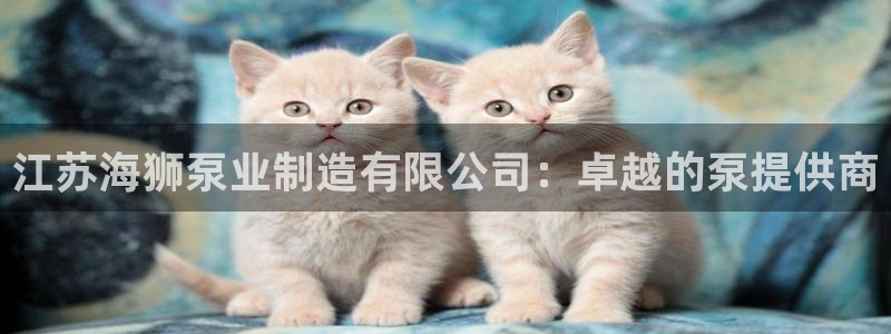彩神平台可以破解吗：江苏海狮泵业制造有限公司：卓越的泵提供商