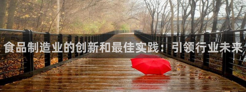 彩神ix平台：食品制造业的创新和最佳实践：引领行业未来
