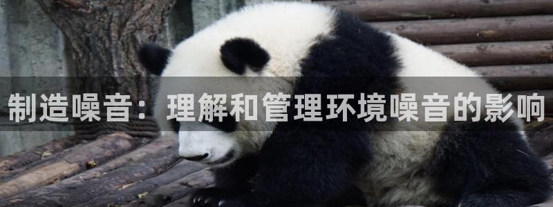 彩神v8app：制造噪音：理解和管理环境噪音的影响