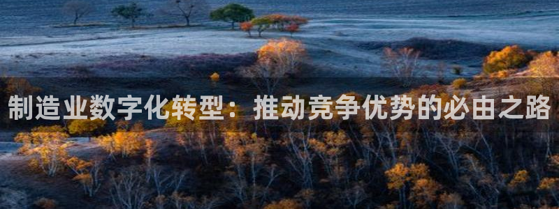 彩神vll官网-最新版app下载：制造业数字化转型：推动竞争优势的必由之路
