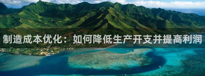 彩神广告有限公司：制造成本优化：如何降低生产开支并提高利润