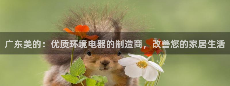 彩神vlll官网网上购彩