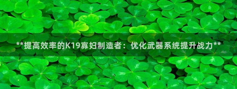 彩神v8下载app5.0：**提高效率的K19寡妇制造者：优