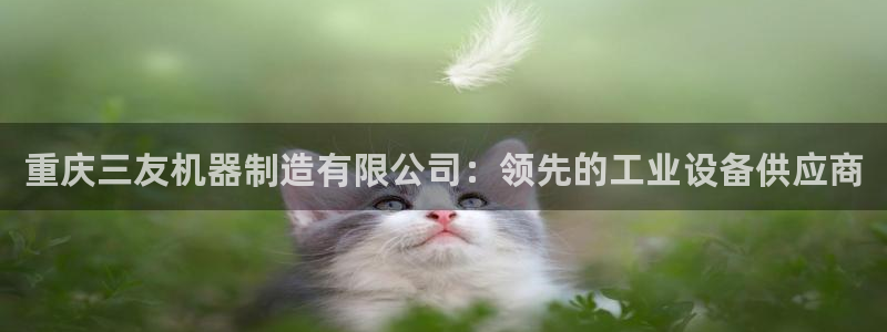 彩神ix可靠吗