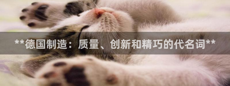 彩神v8是一个什么平台啊：**德国制造：质量、创新和精巧的代