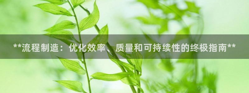 彩神v8平台正规吗安全吗：**流程制造：优化效率、质量和可持